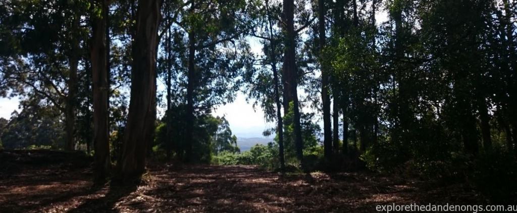 View from Falls Road across to Yarra Valley