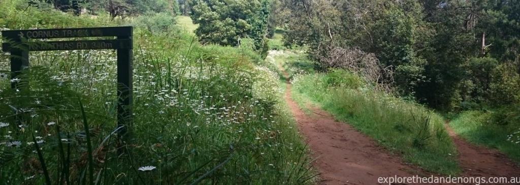 Rock Track Walking Trail