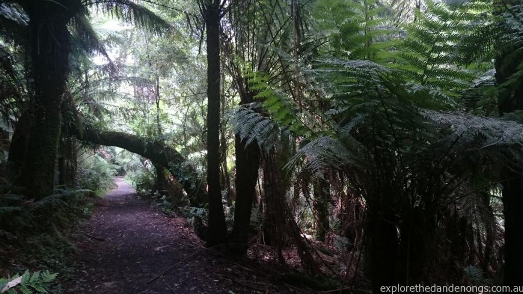 Sherbrooke Walk Track