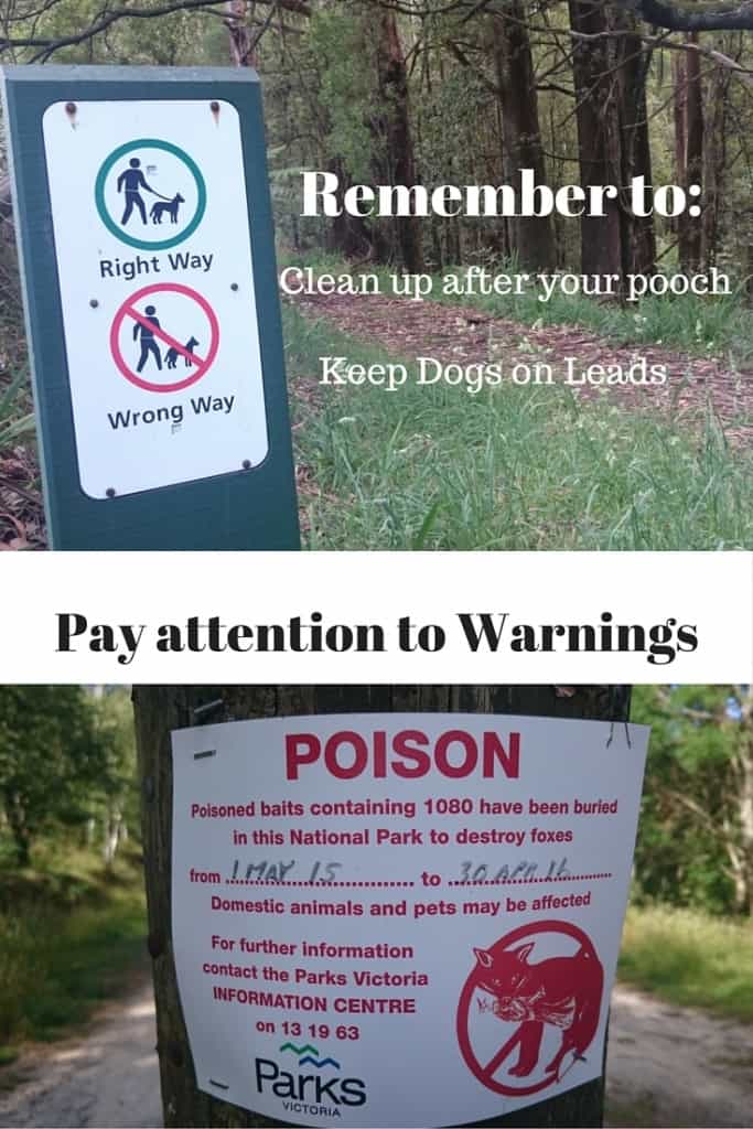 Dog-friendly walks. Dog Walking Rules Dandenong Ranges