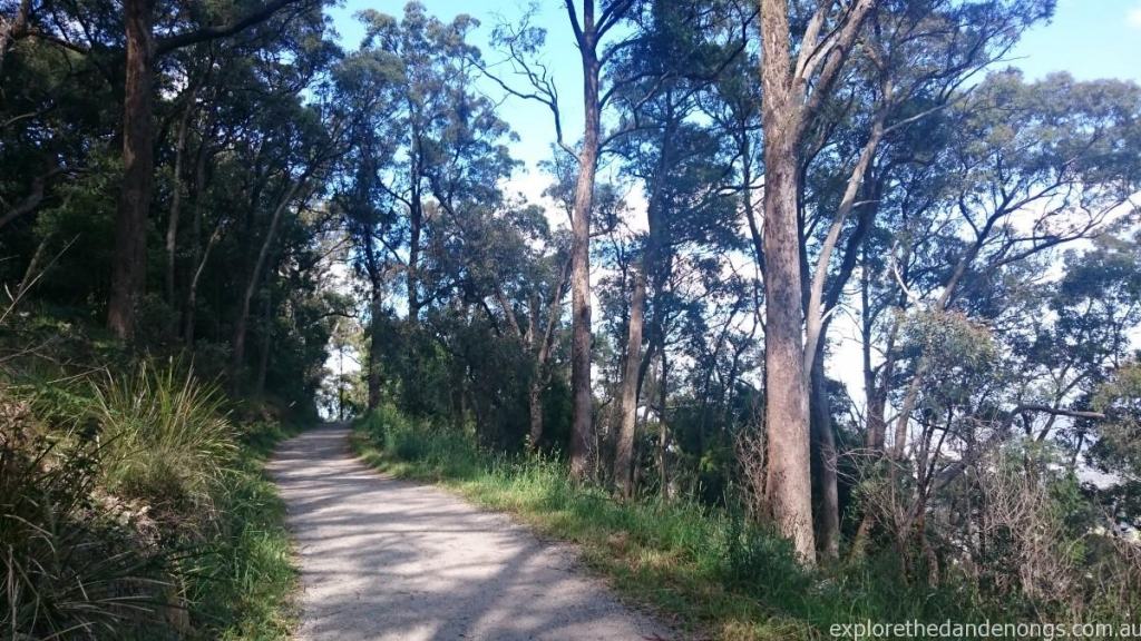 Kyeema Walking Track to Burkes Lookout, Mt Dandenong