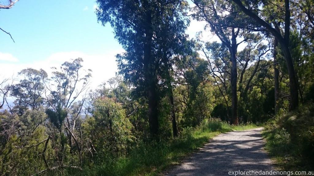 Kyeema Wlking Track to Bourkes Lookout