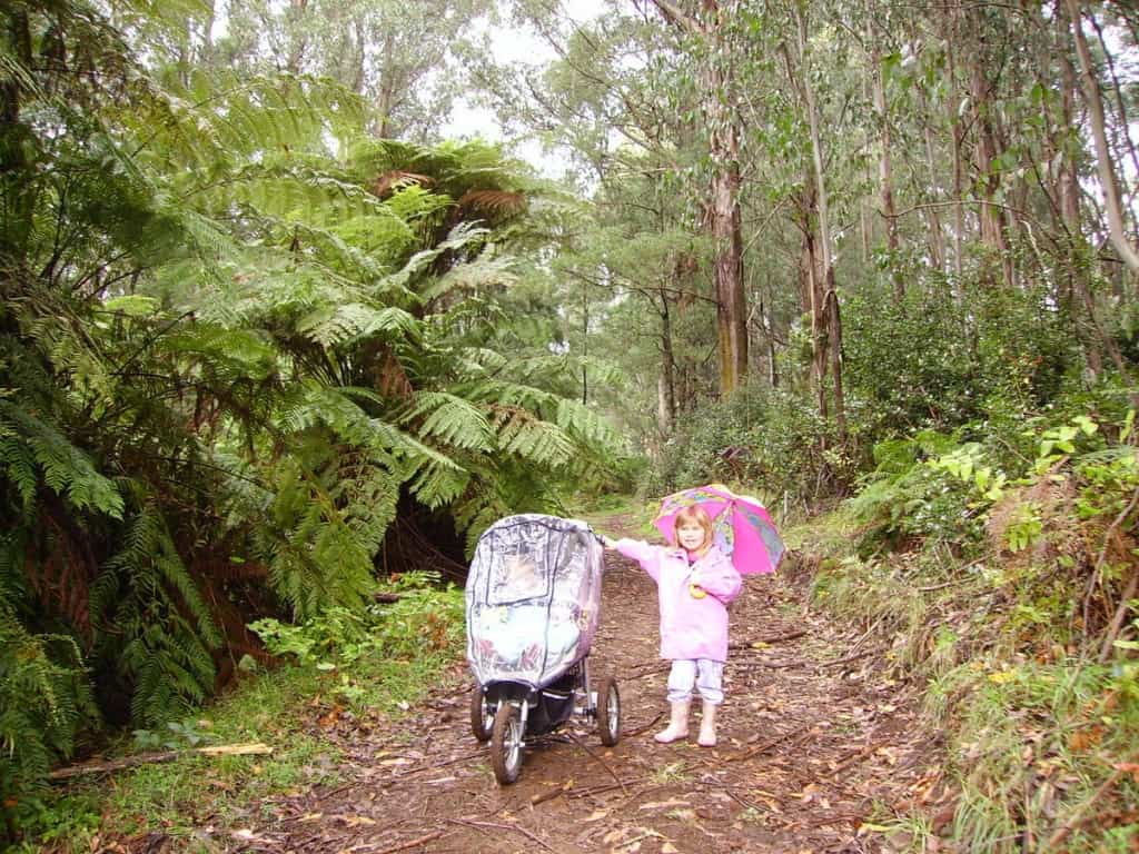 Pram Friendly Walks Dandenong Ranges