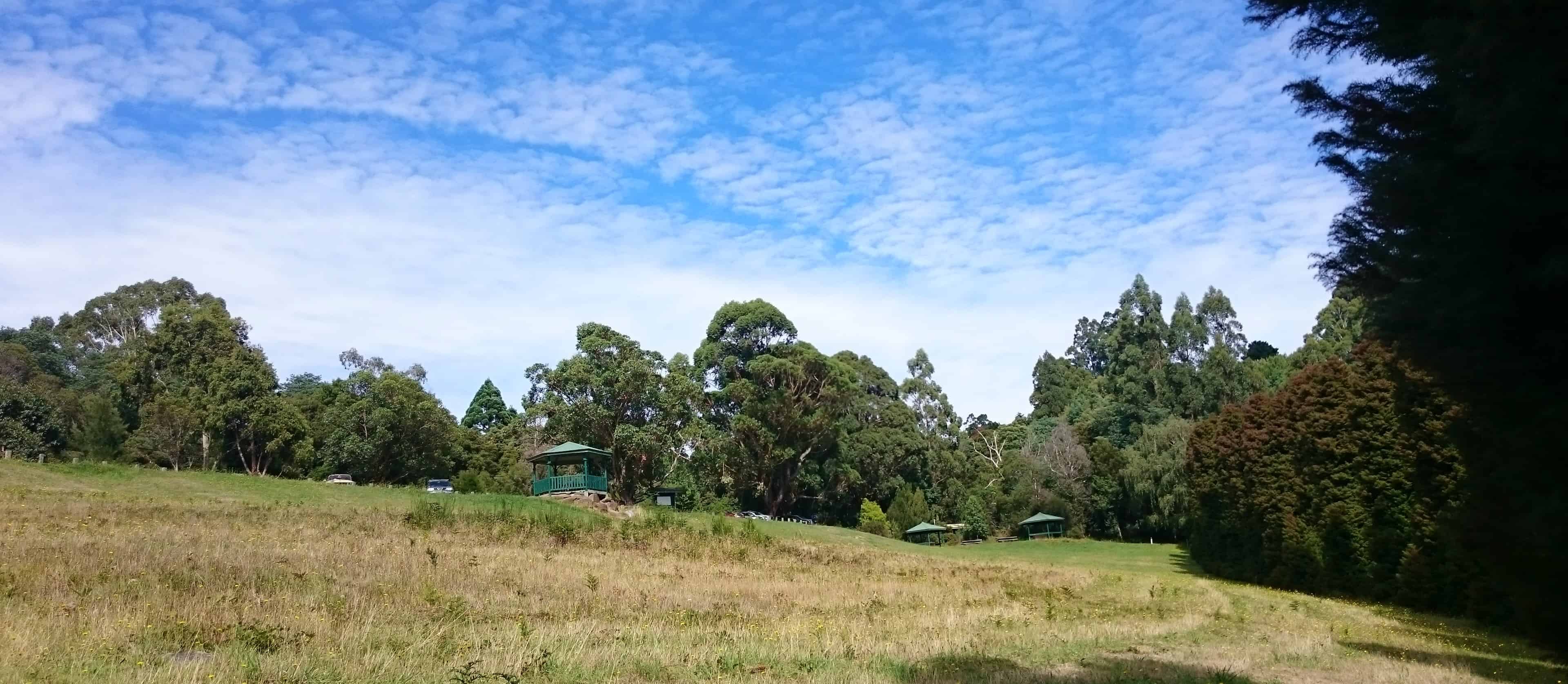 Hamer Arboretum Mount Dandenong Australia
