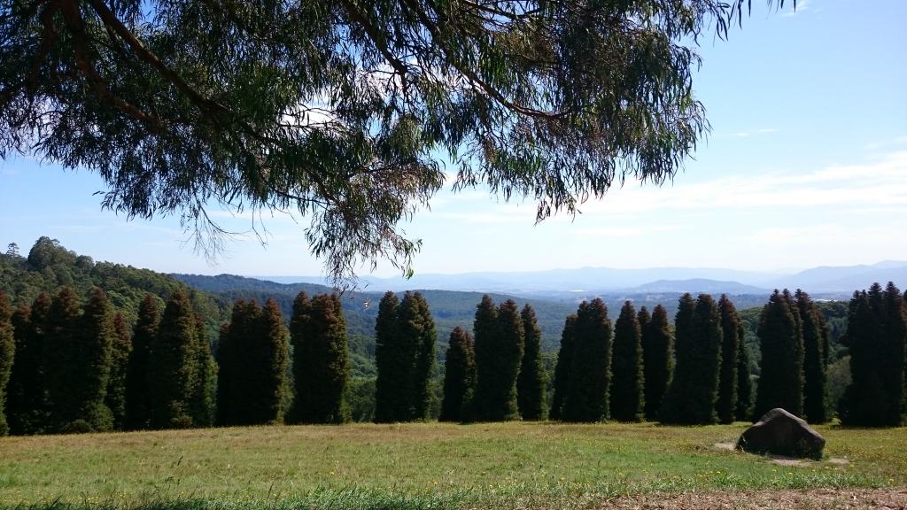 Hamer Arboretum Mount Dandenong Australia