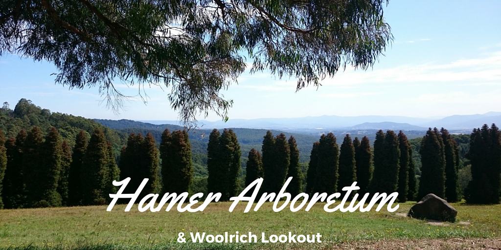 Hamer Arboretum & Woolrich Lookout Dandenong Ranges