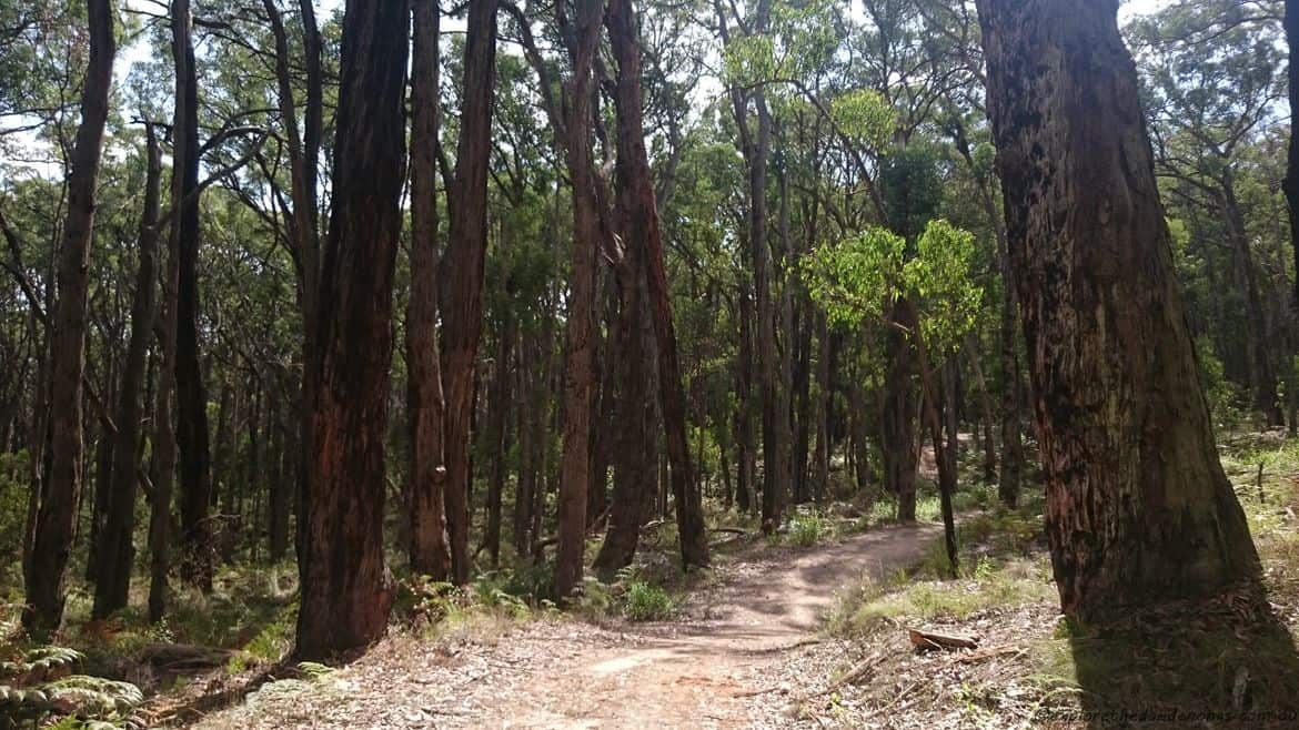 Doongalla Homestead History - Walking Tracks 