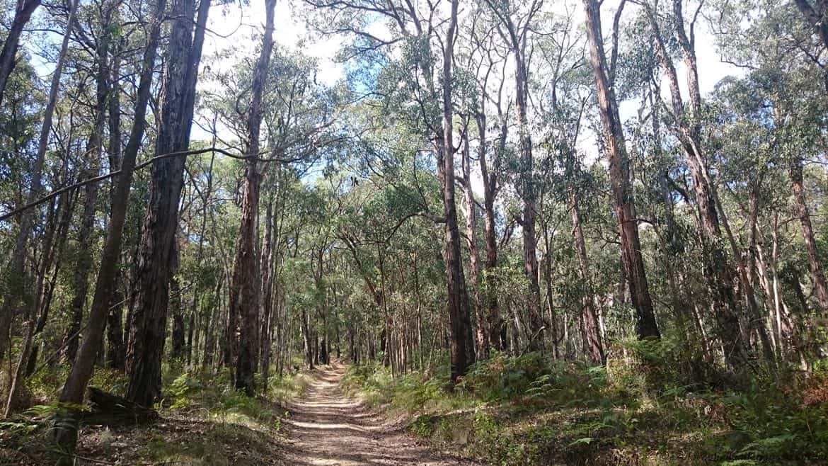 Doongalla Homestead History - Walking Tracks 