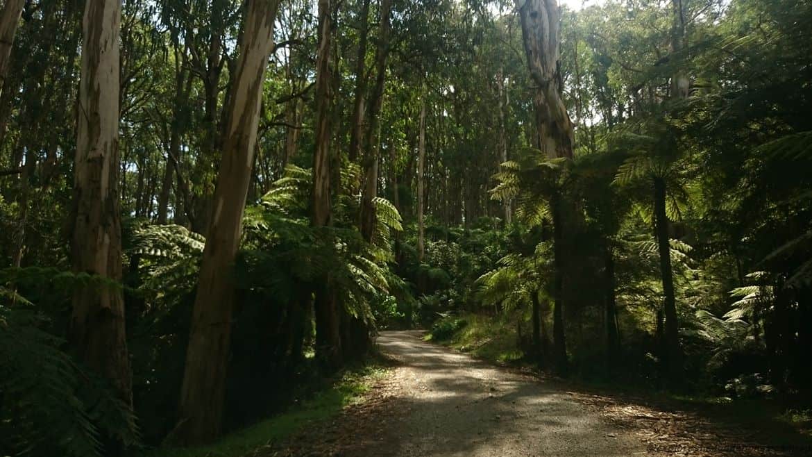 Doongalla homestead, The Basin