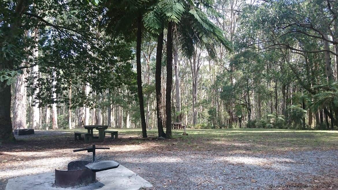 Doongalla Homestead History - Walking Tracks 