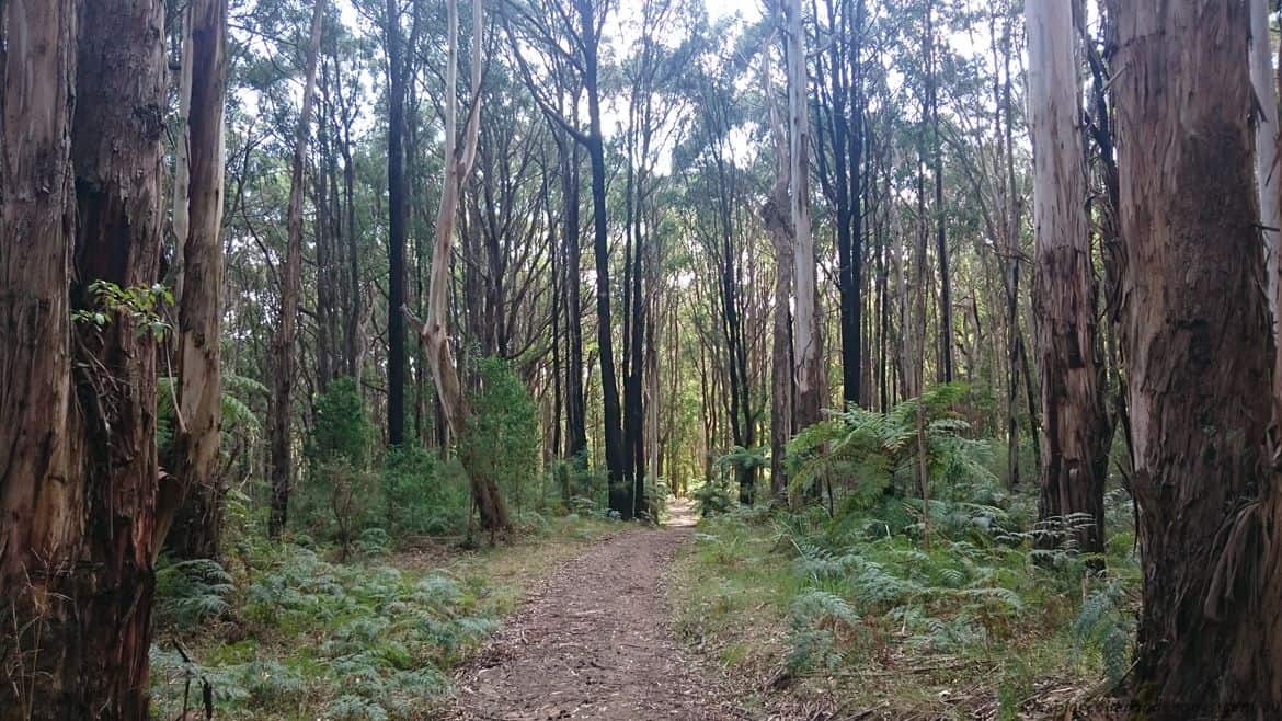 Doongalla Homestead History - Walking Tracks 