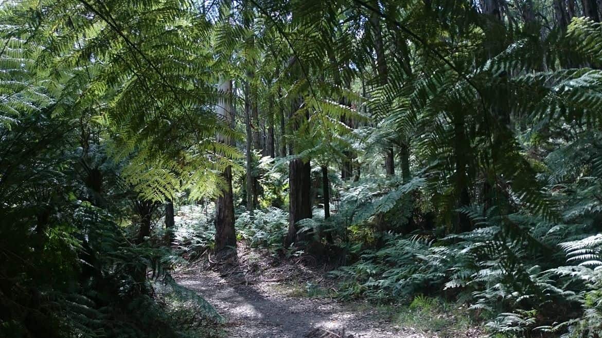 Doongalla Homestead History - Walking Tracks 