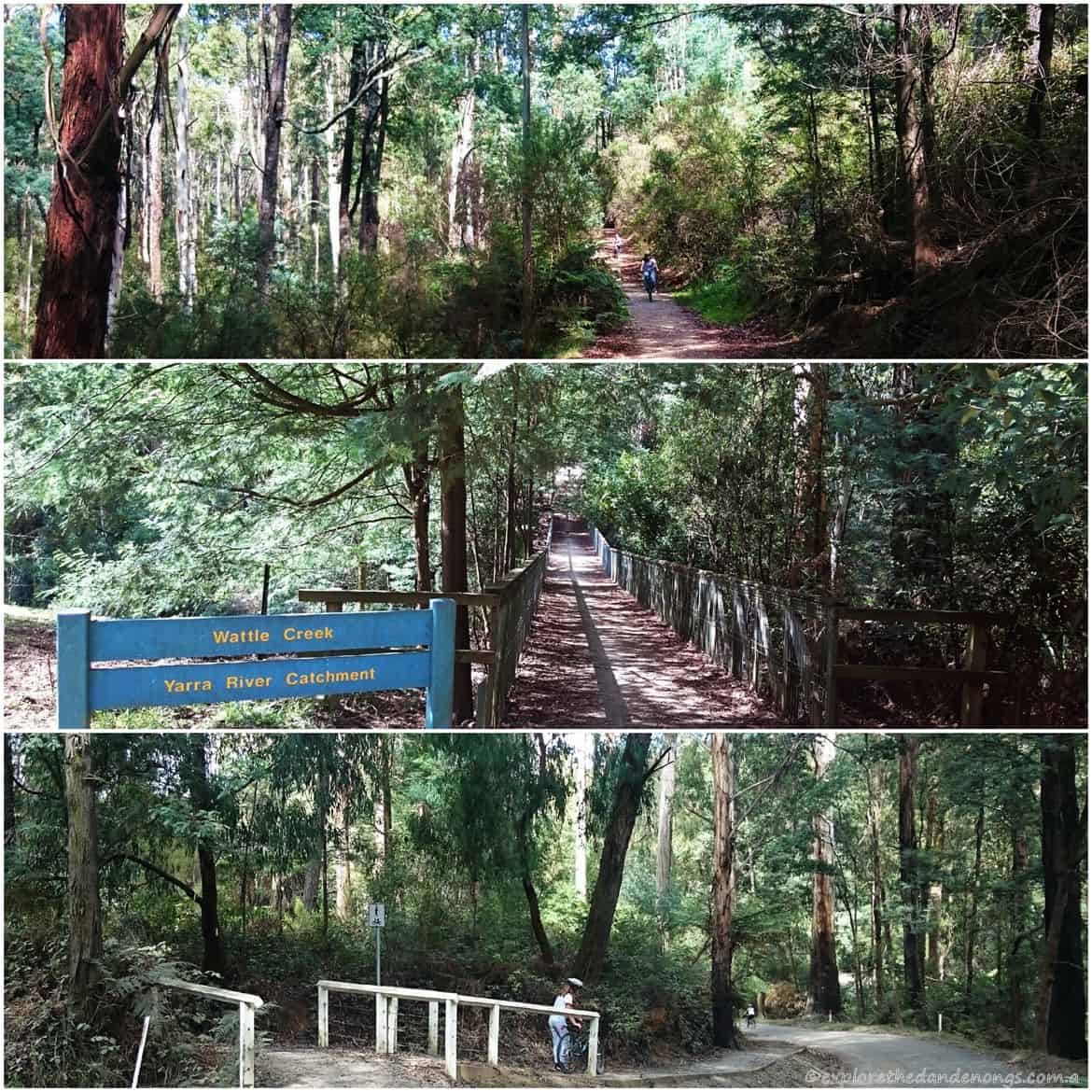 Emerald-Cockatoo Trail.4 (Copy)