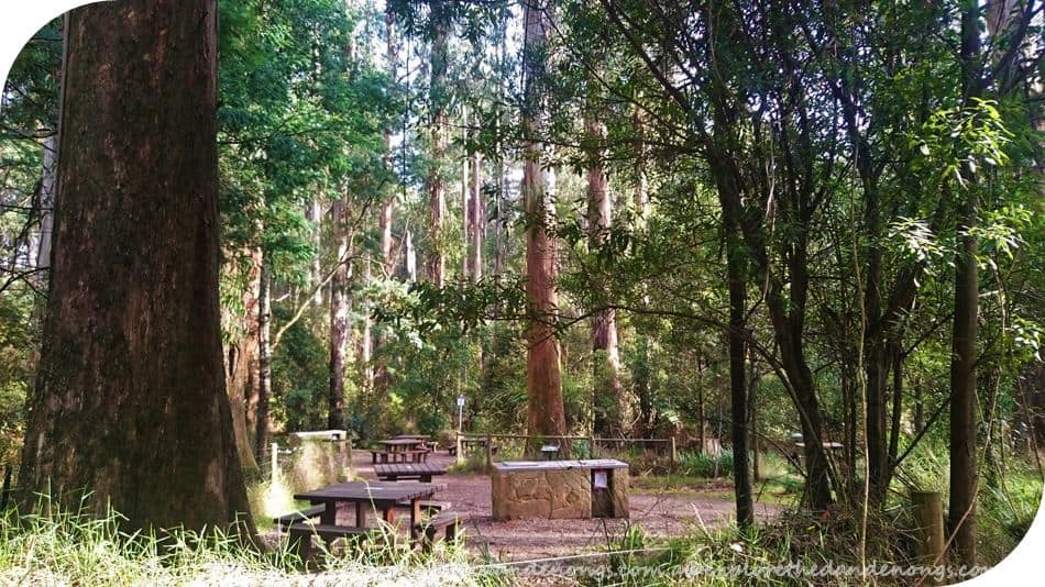 Anzac Memorial to Sherbrooke Falls, Dandenong Ranges National Park