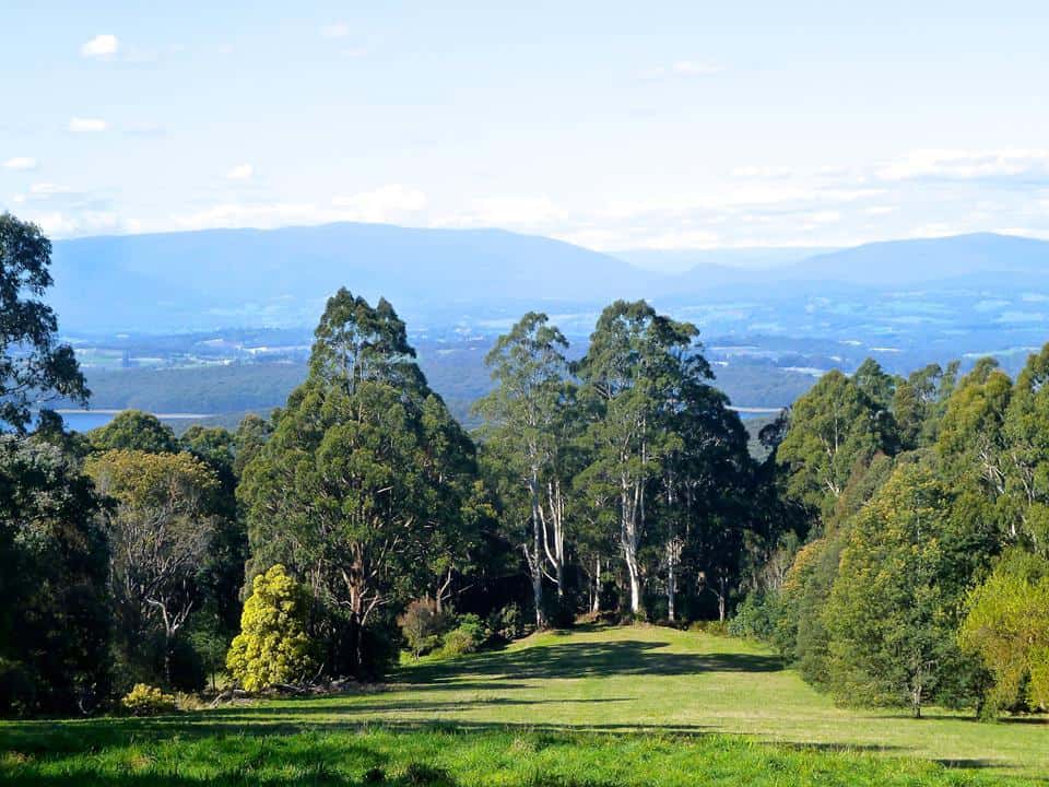 Olinda golf course