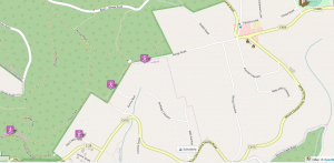 Olinda to Sassafras walk