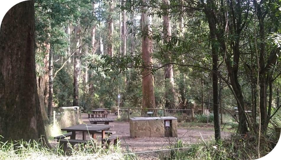 Picnic Grounds Dandenong Ranges