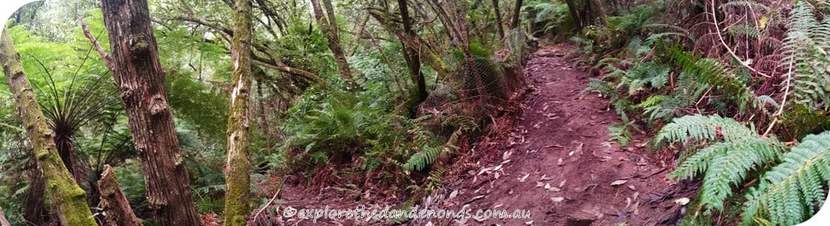 Kalorama-Park, Dandenong Ranges. Walking Tracks near Melbourne