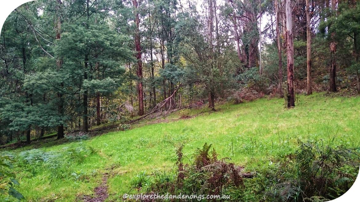 Kalorama-Park, Dandenong Ranges. Walking Tracks near Melbourne