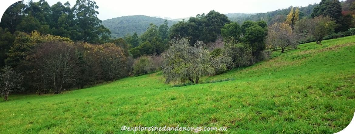 Kalorama-Park, Dandenong Ranges. Walking Tracks near Melbourne