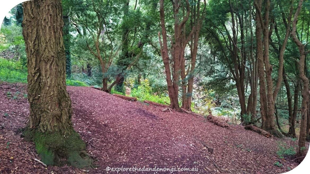 Kalorama Park Dandenong Ranges