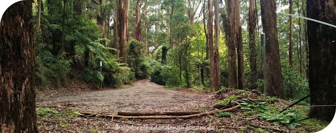 Kalorama-Park, Dandenong Ranges. Walking Tracks near Melbourne