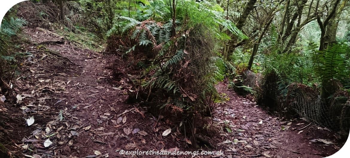 Kalorama-Park, Dandenong Ranges. Walking Tracks near Melbourne