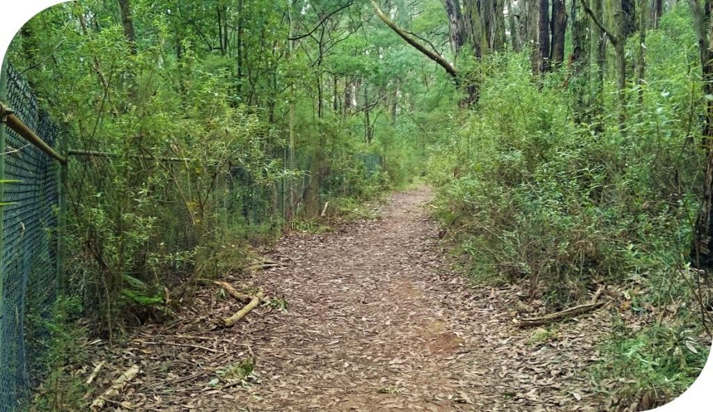 Olinda Creek Walking Track -Silvan to Mt Evelyn. Dog-friendly.