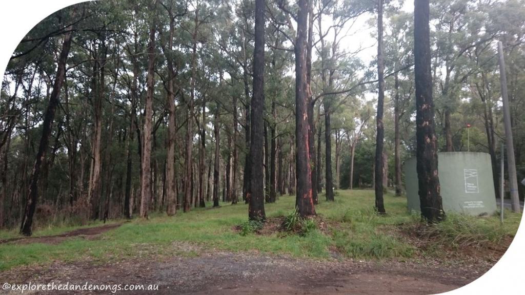 Dandenong Ranges Walking Tracks