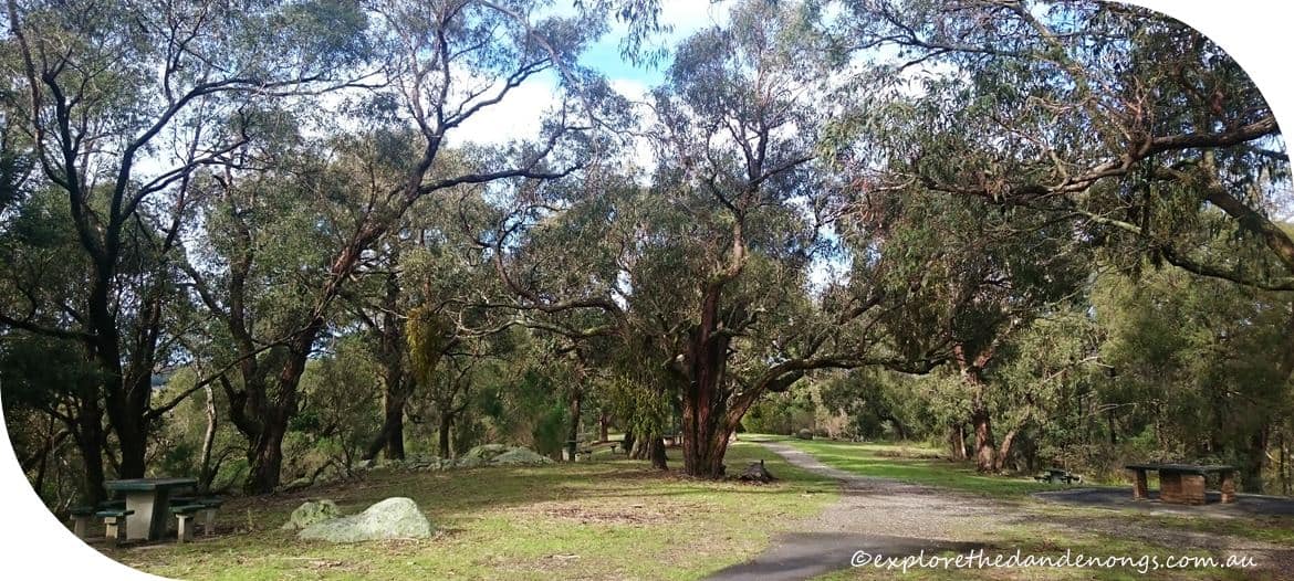 Cardinia-Reservoir-Crystal-Brook-Park.12