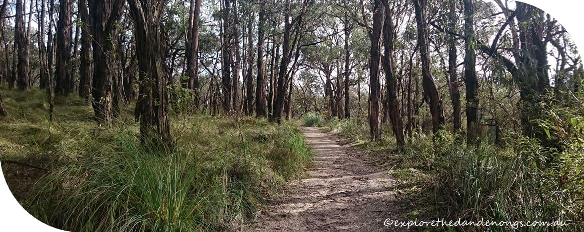 Cardinia-Reservoir-Crystal-Brook-Park.7