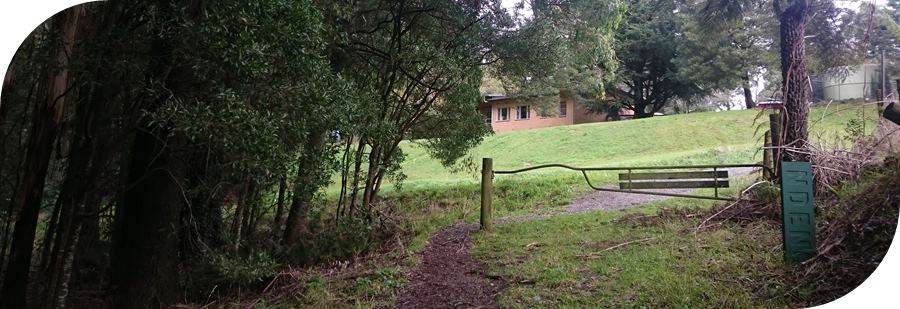 Dog-friendly-walks-dandenong-ranges (12)