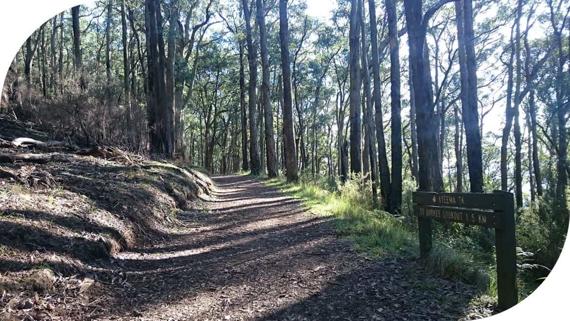 Mt-Dandenong-Circuit