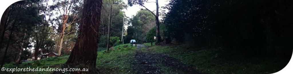 Mount Dandenong Circuit Walk