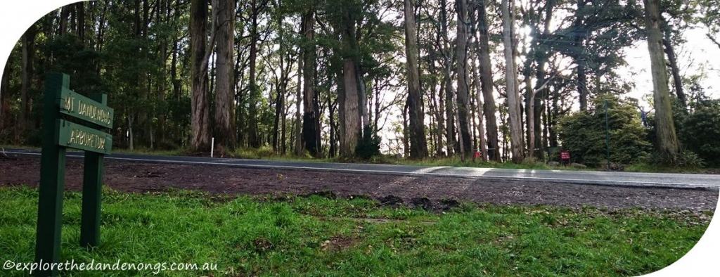 Mount Dandenong Circuit Walk