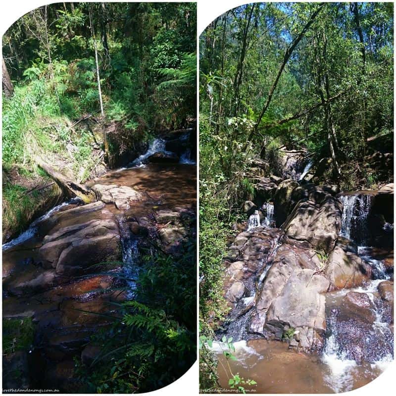 Olinda-Falls-Dandenong Ranges 