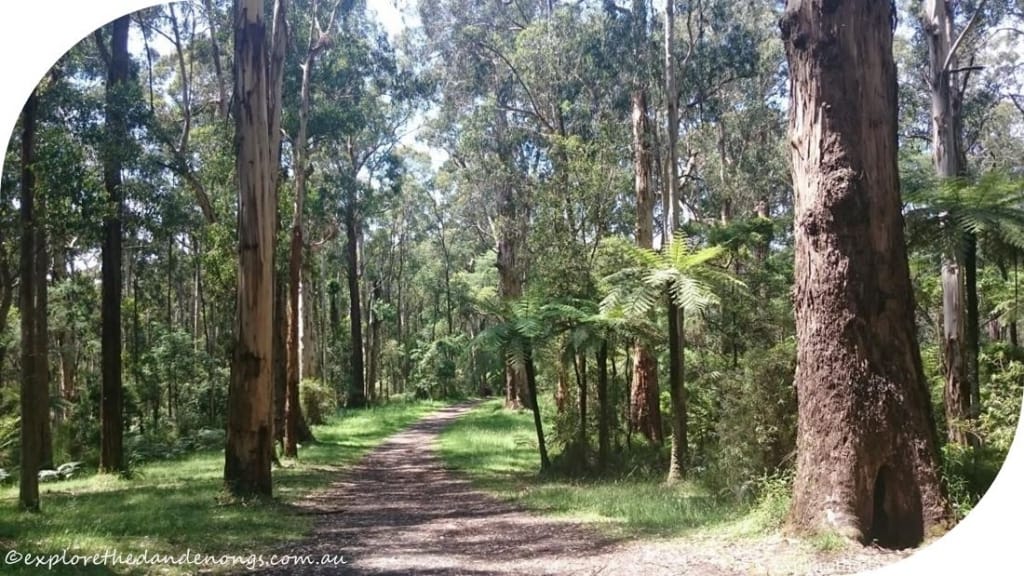 Olinda Falls Picnic Reserve, Mt Dandenong