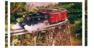 Puffing Billy Steam Train