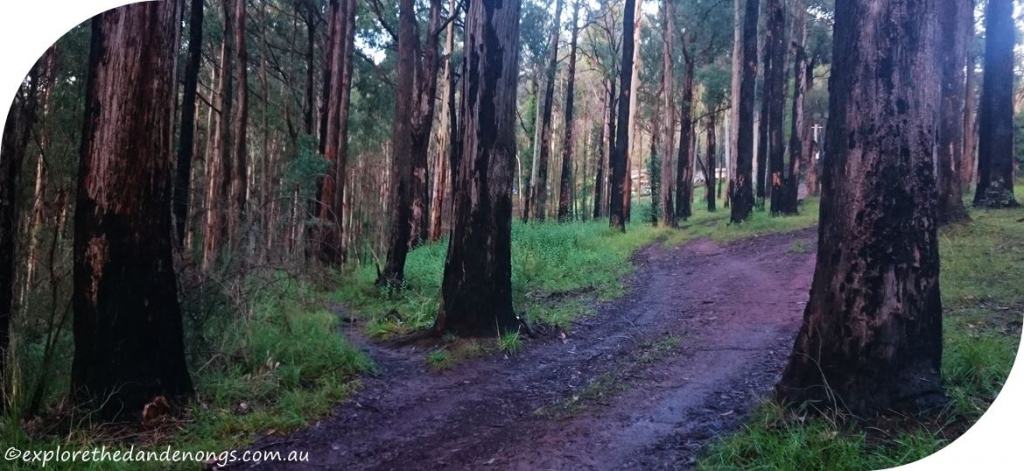 True Grit Walking Track