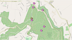 True Grit Walking Track