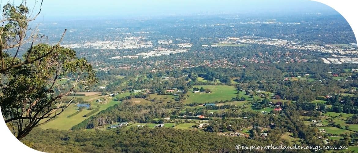 Western Slopes Walk Mt-Dandenong