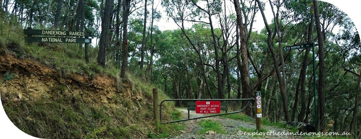 Western Slopes Hiking Track Mt Dandenong. 12km walk