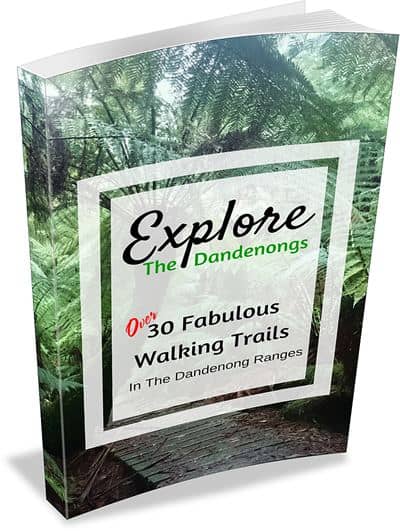 30 Walks in the Dandenong Ranges Australia