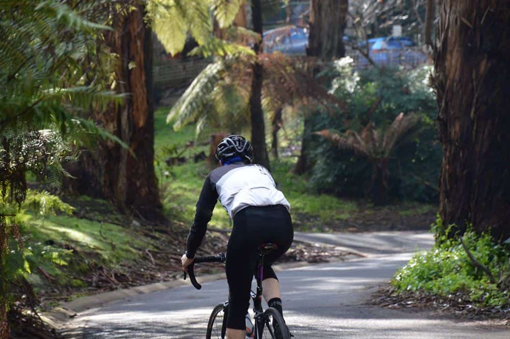 Cycling in the Dandenong Ranges