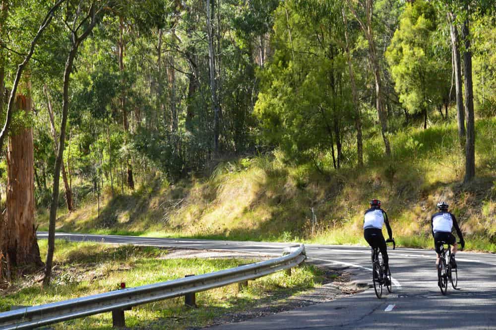 Cycling in the Dandenong Ranges