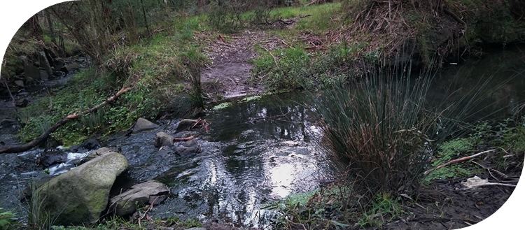 Ferny Creek, Dandenong Ranges