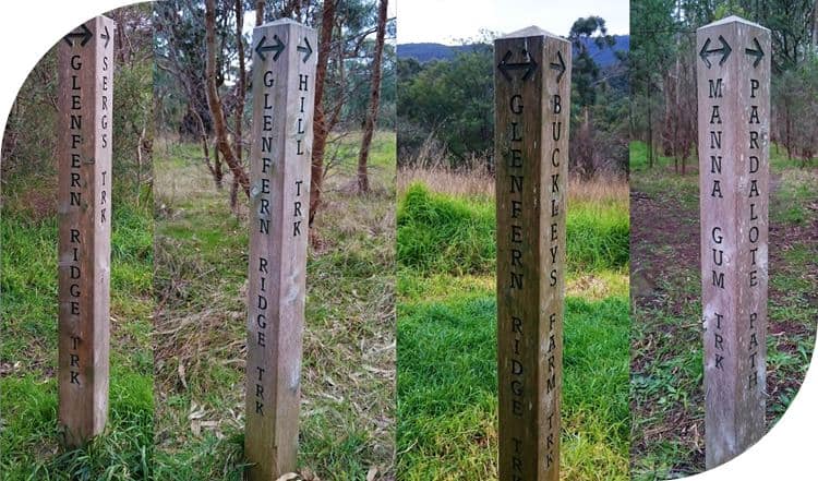 A number of paths can be used to either shorten or lengthen the walk in Glenfern Valley Bushlands, Upwey, Victoria.