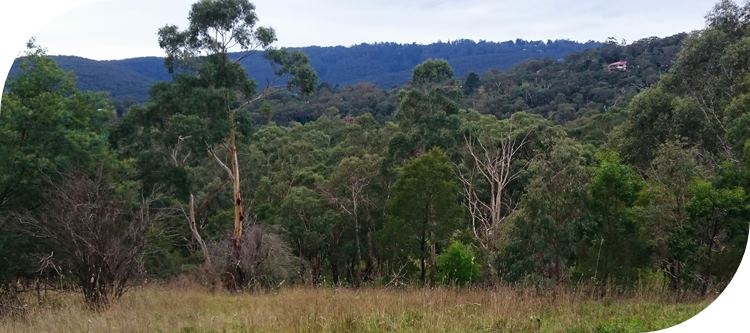 Glenfern Valley Bushlands