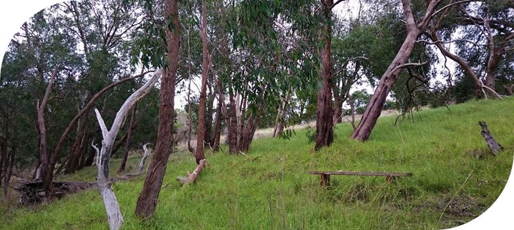 Glenfern Valley Bushlands Reserve. Plenty of seating to allow people to rest and enjoy the beauty.