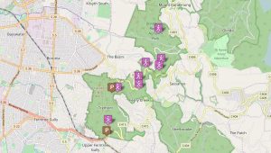 Mt Dandenong Trail 20 km's